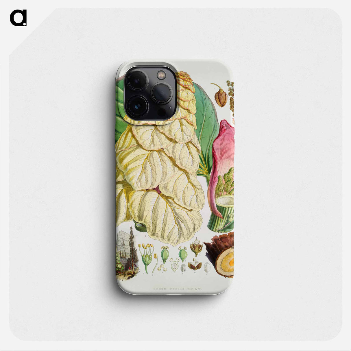 Noble rhubarb - Walter Hood Fitch Phone Case.