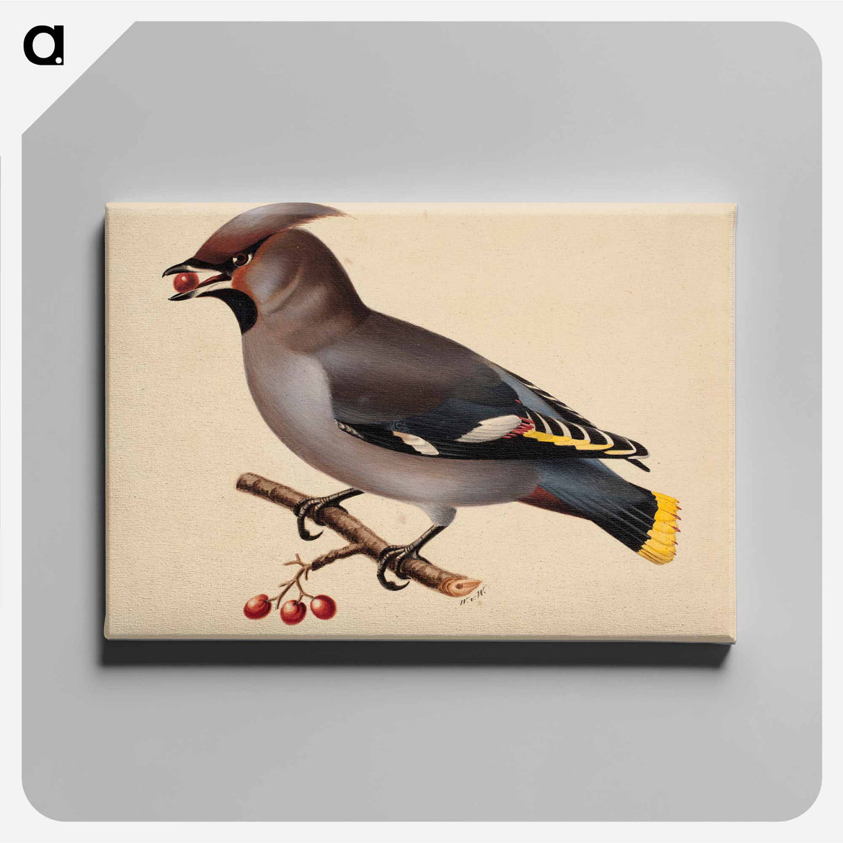 Bohemian waxwing - Wilhelm von Wright Canvas.