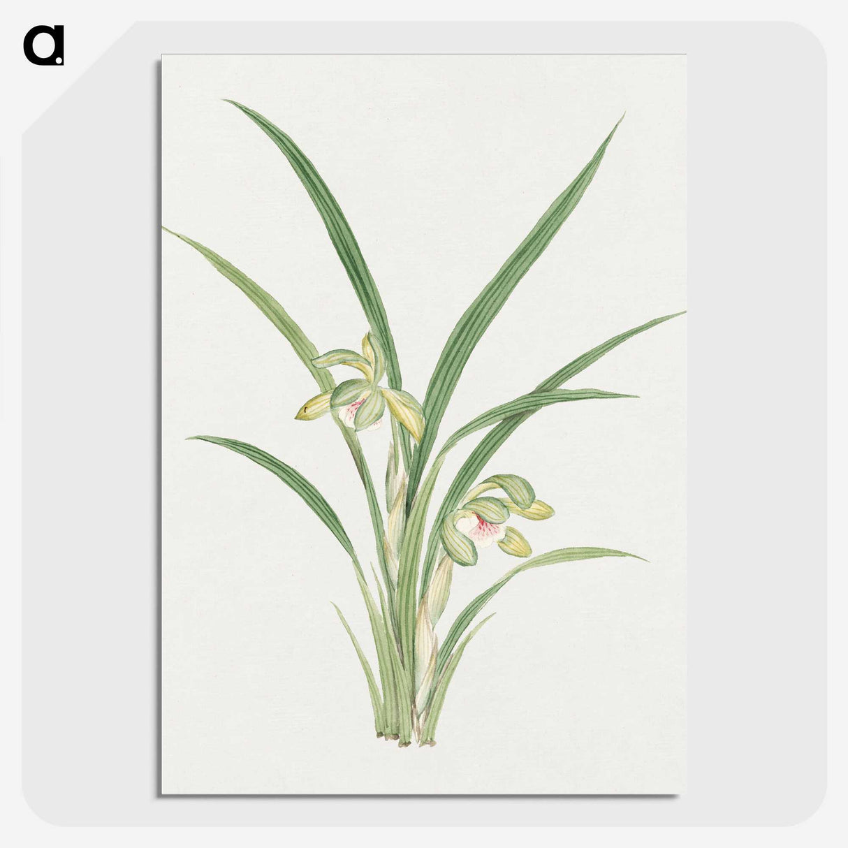 1-22_19th-Century-Japanese-Flowers_picture-crop
