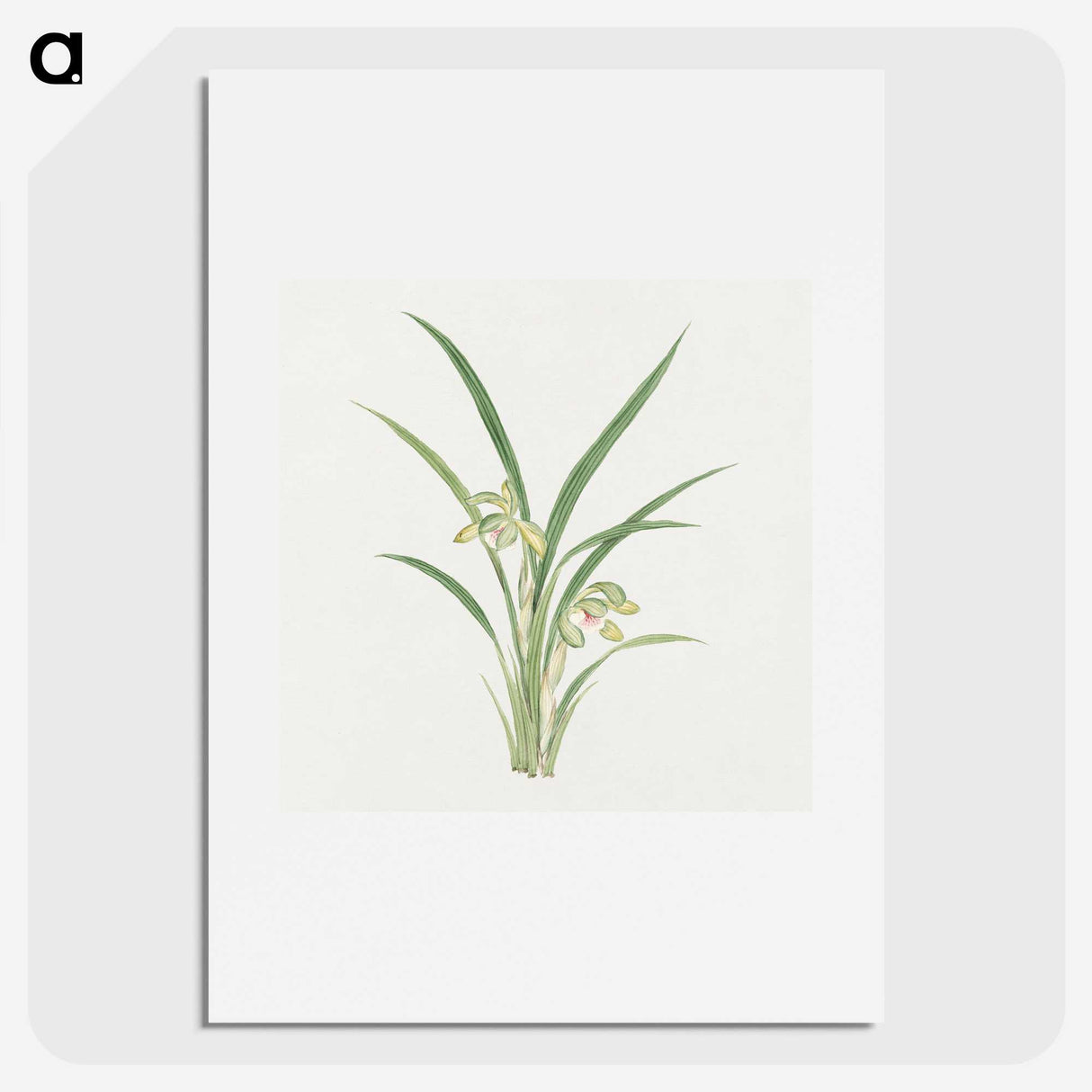 1-22_19th-Century-Japanese-Flowers_picture