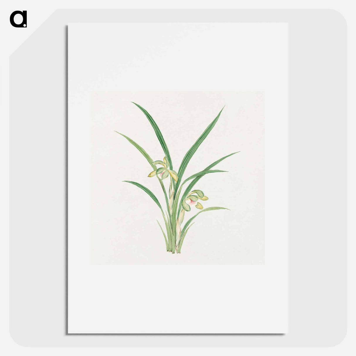 Mirau – March - 19世紀の日本の花 Poster.