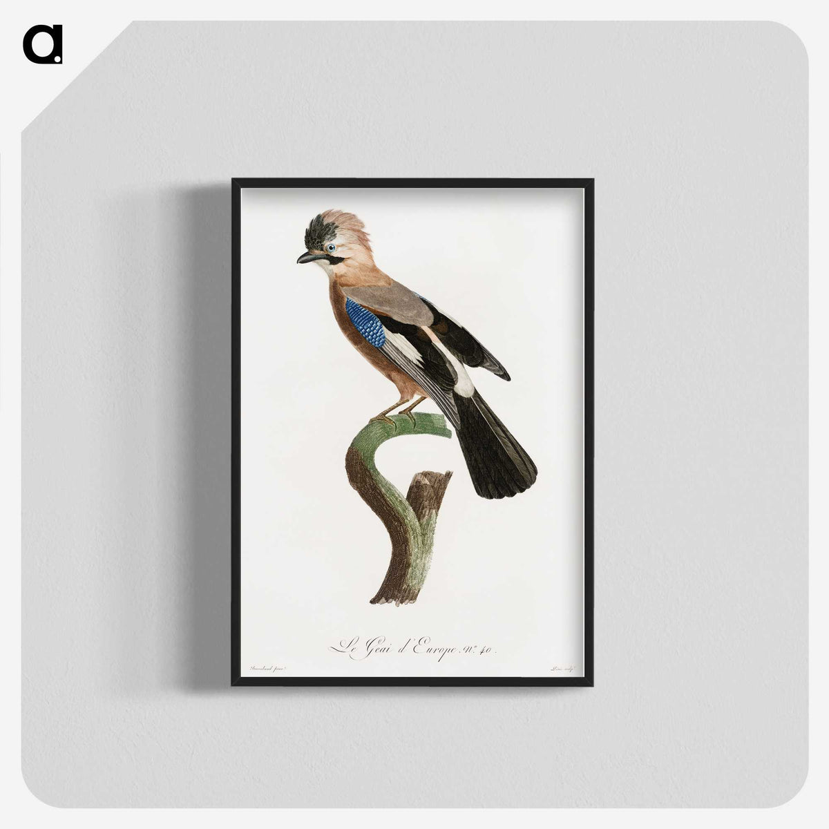 1-22_Des-Oiseaux-de-Paradis_blk-crop