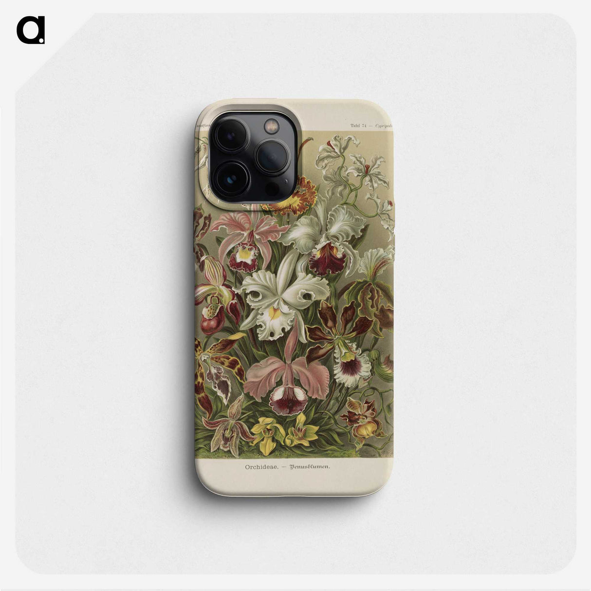 1-22_Ernst-Haeckel_phone