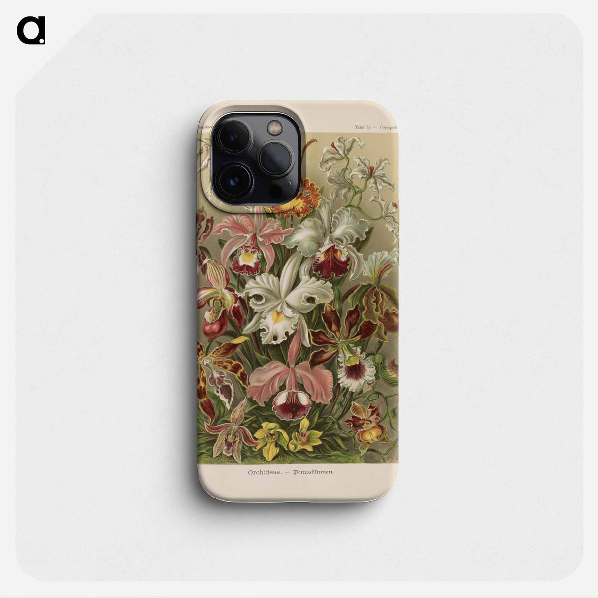Flowers illustration from Kunstformen der Natur - エルンスト ヘッケル Phone Case.