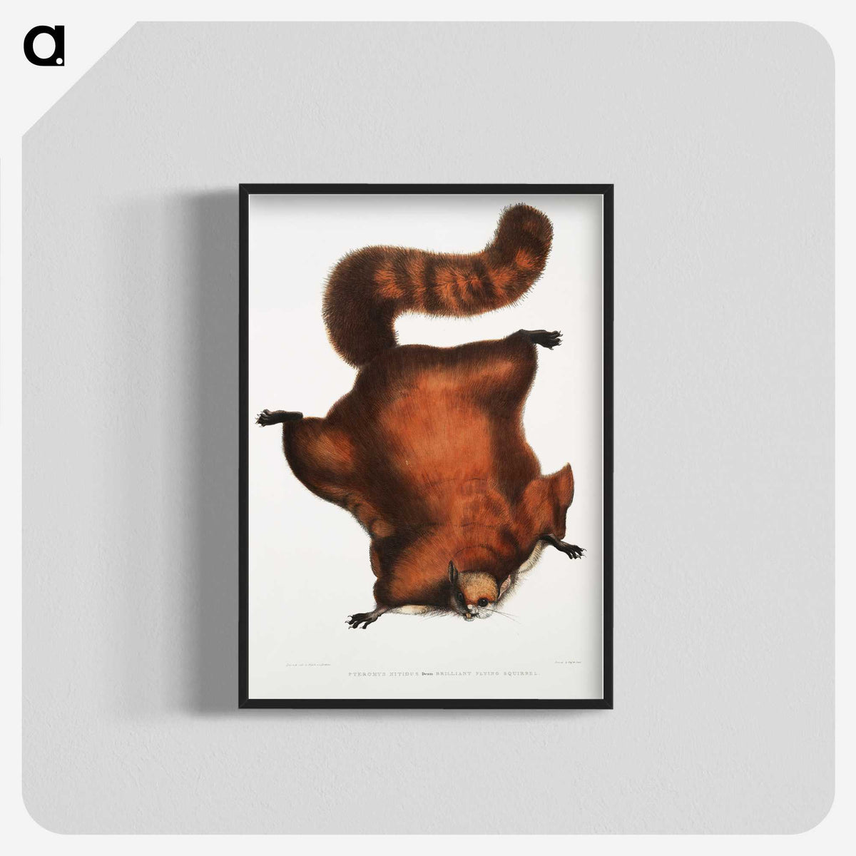 1-22_Indian-Zoology_blk-crop