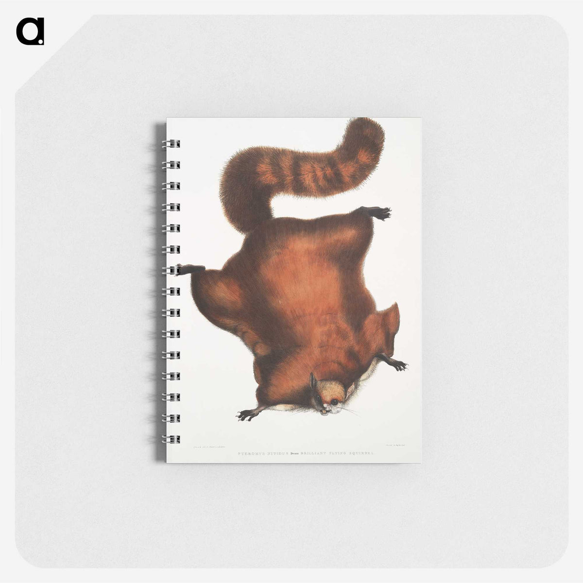 1-22_Indian-Zoology_memo
