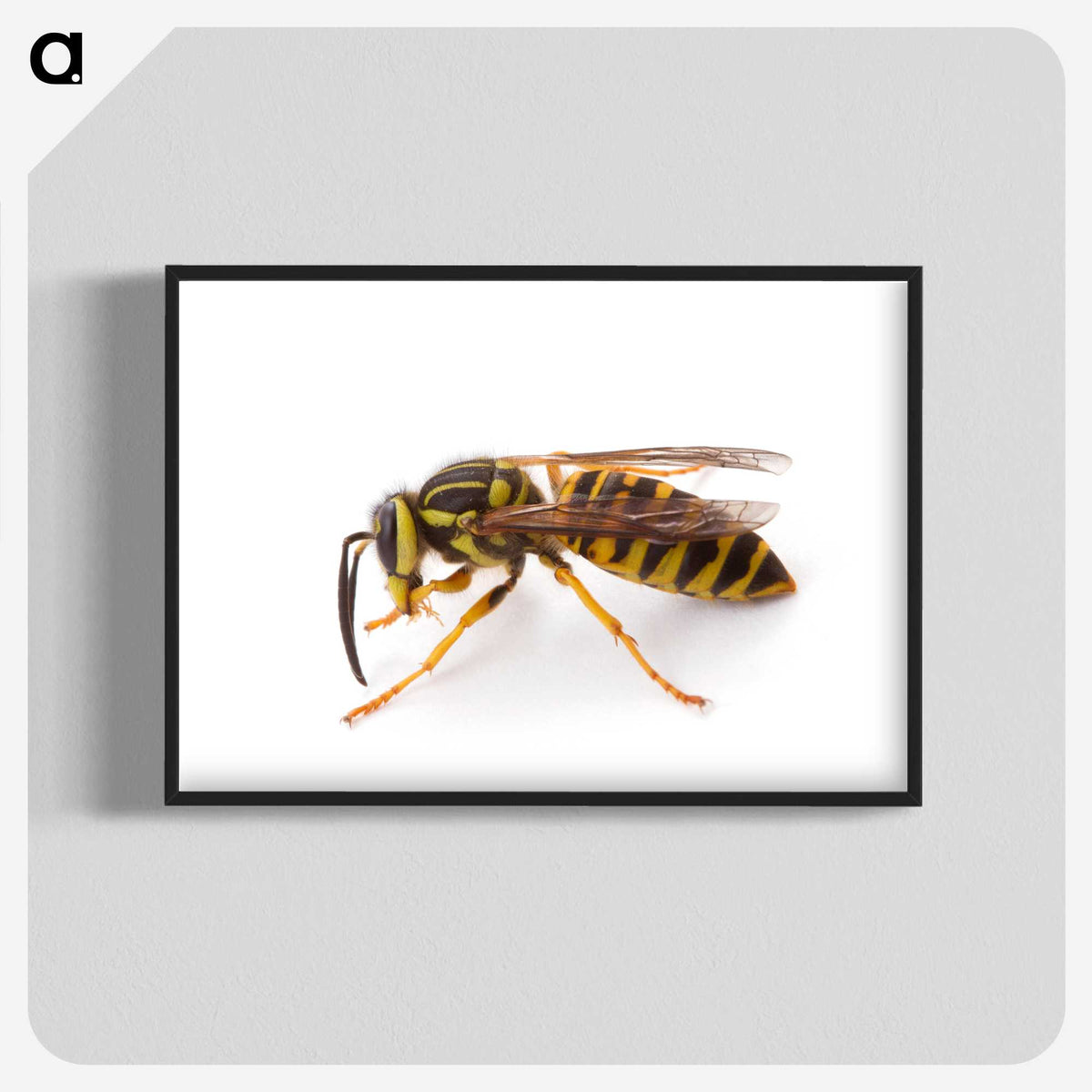 1-22_Insects-Unlocked-Project_blk-crop