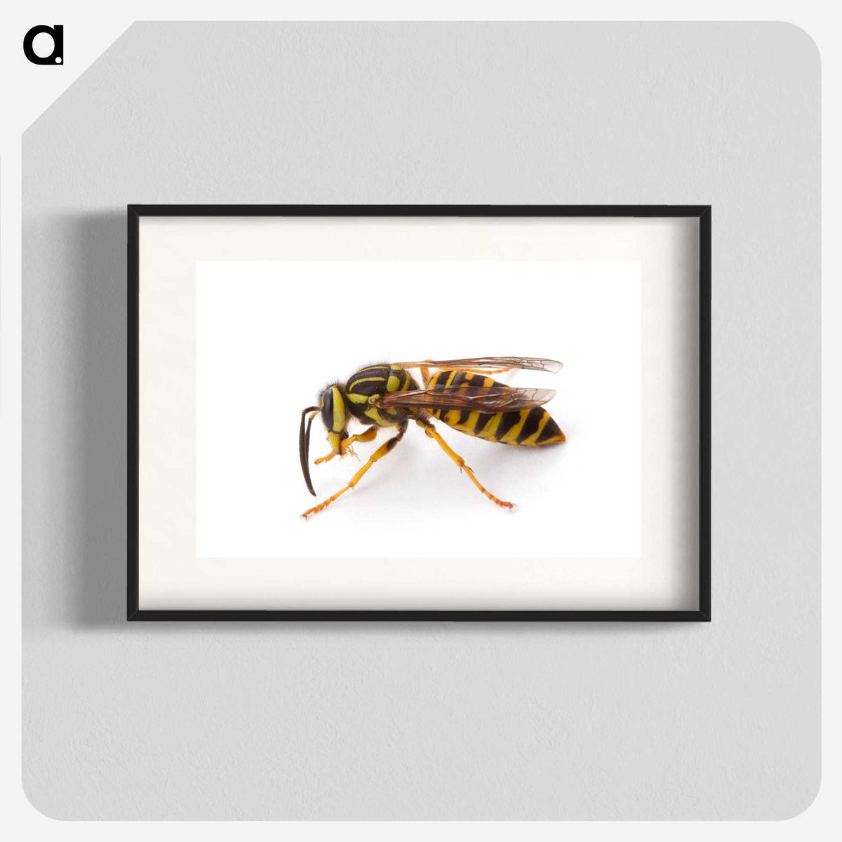 1-22_Insects-Unlocked-Project_blk