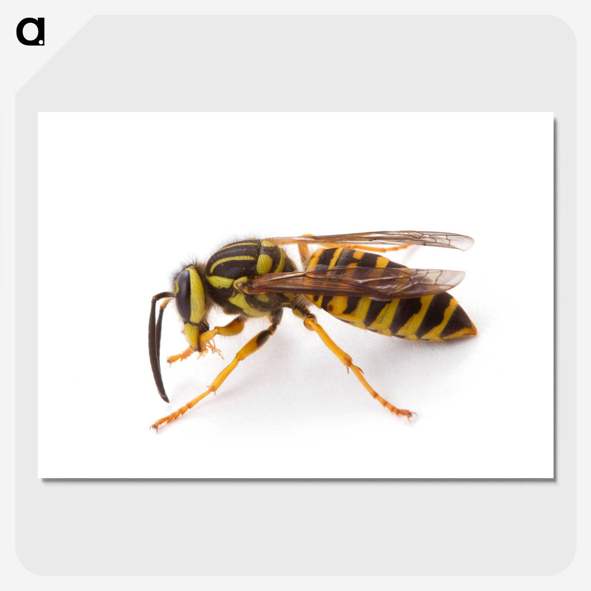 1-22_Insects-Unlocked-Project_picture-crop