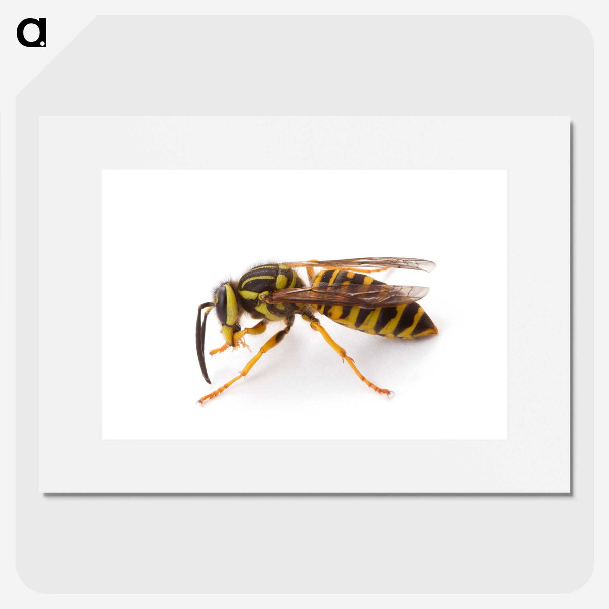 1-22_Insects-Unlocked-Project_picture