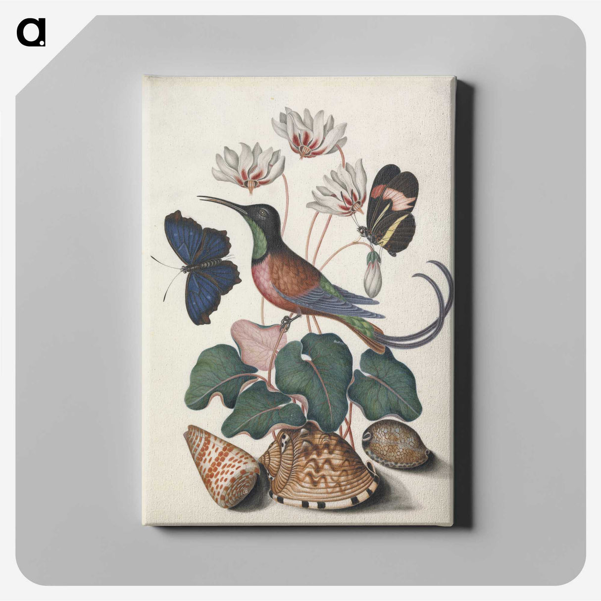 1-22_James-Bolton_canvas