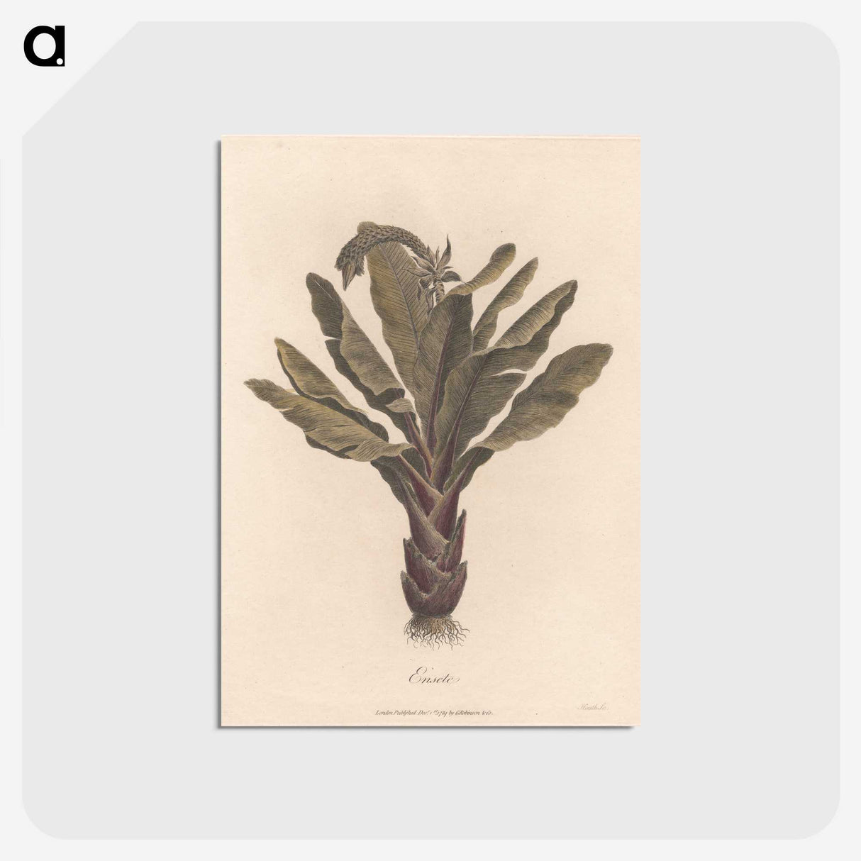 1-22_James-Heath_postcard