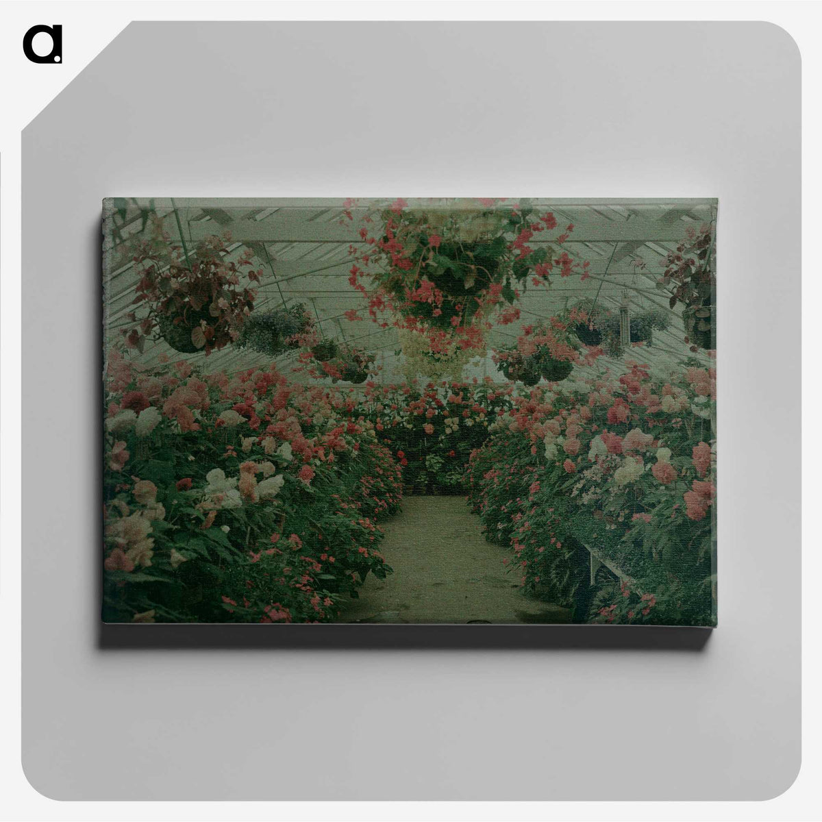 1-22_James-Walter-Chapman-Taylor_canvas
