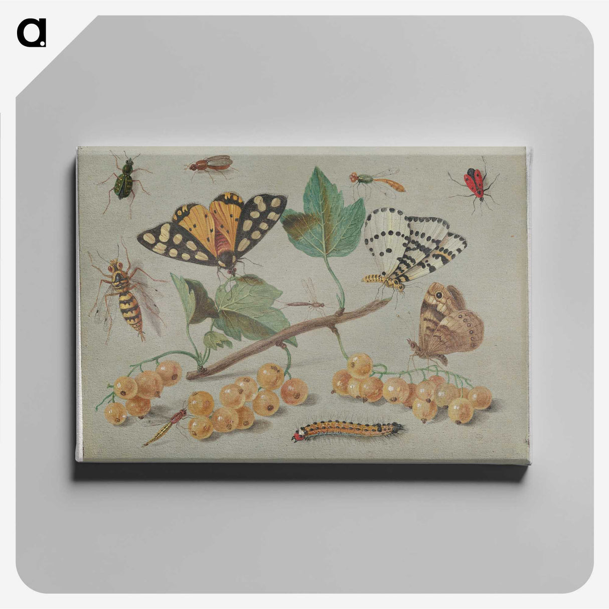 1-22_Jan-Van-Kessel_canvas