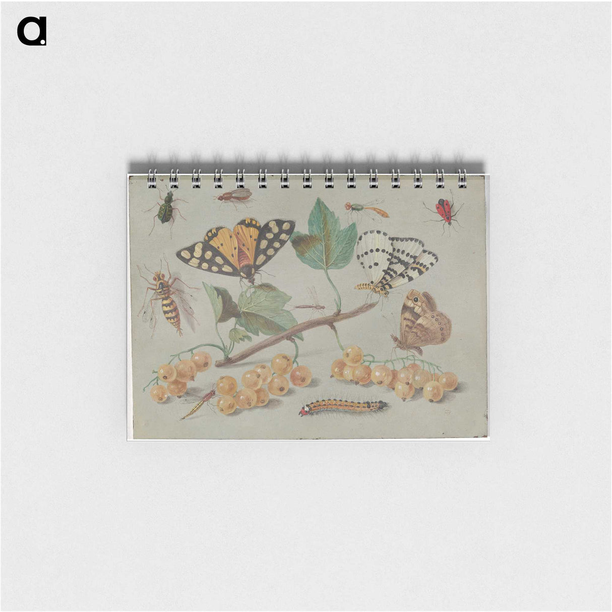 1-22_Jan-Van-Kessel_memo