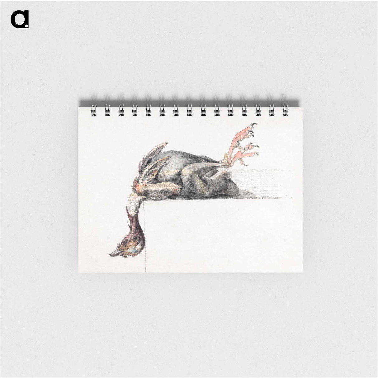 Plucked bird, hanging head down - ジャン ベルナール Memo.