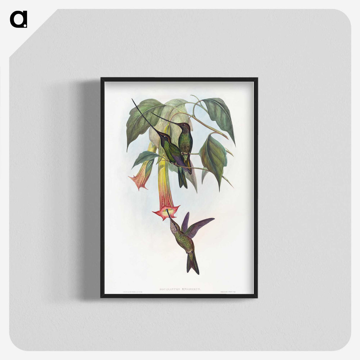 1-22_John-Gould_blk-crop