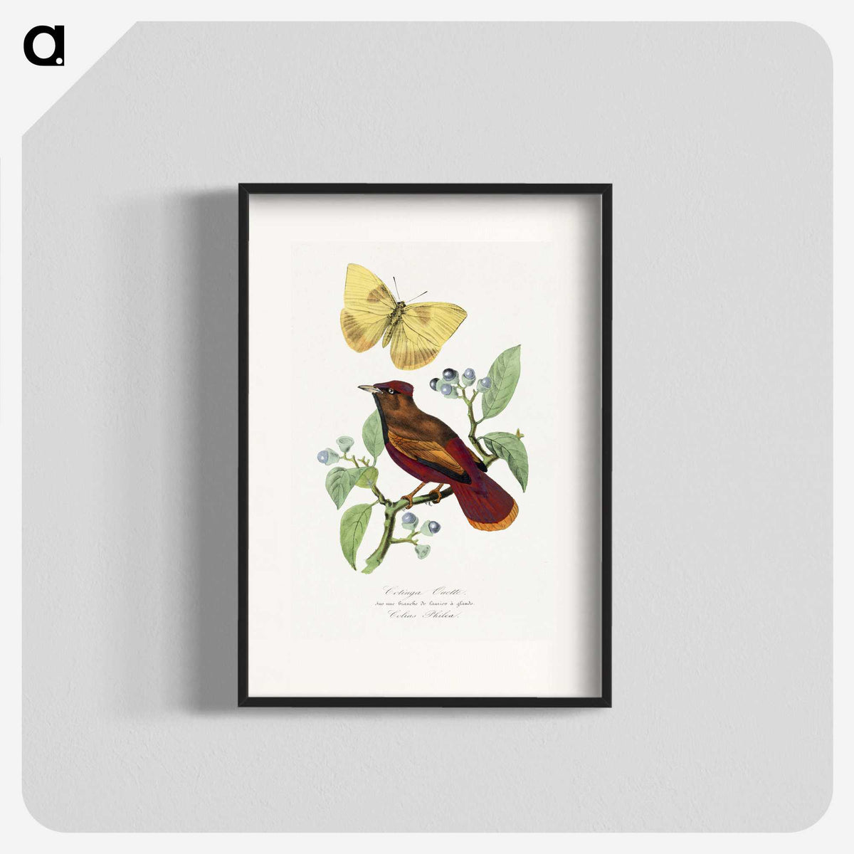 1-22_Le-Jardin-des-Plantes_blk