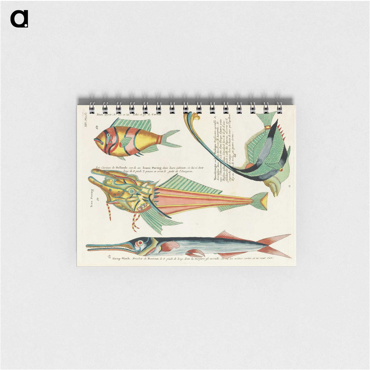 1-22_Louis-Renard_memo