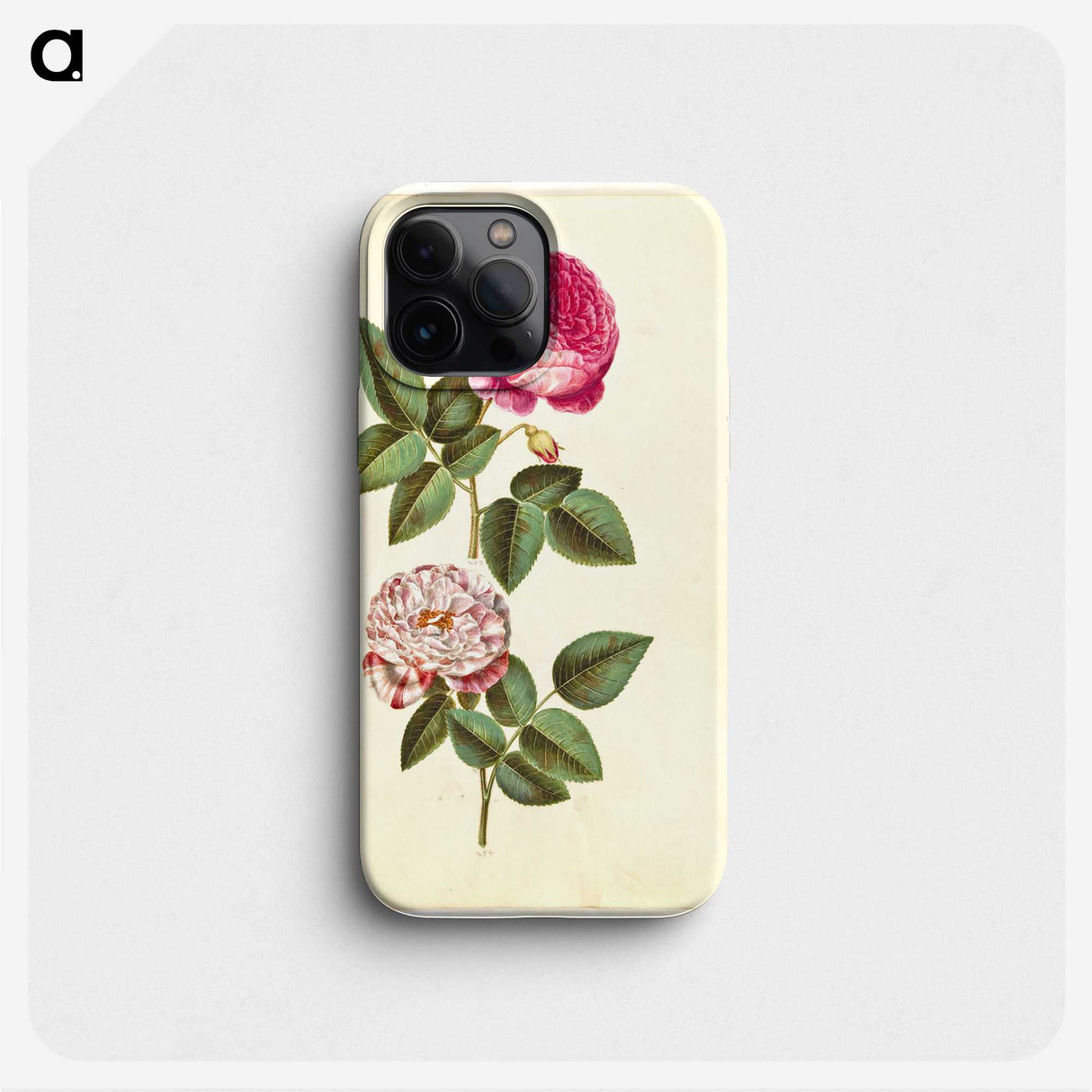 1-22_Maria-Sibylla-Merian_phone
