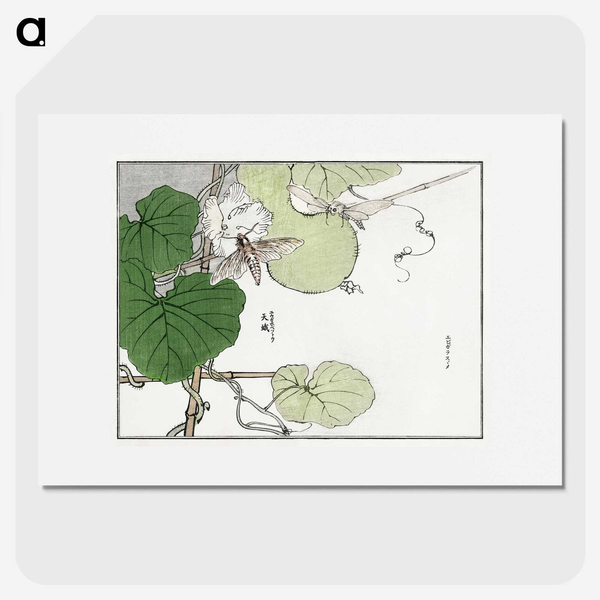 1-22_Morimoto-Tokaku_picture