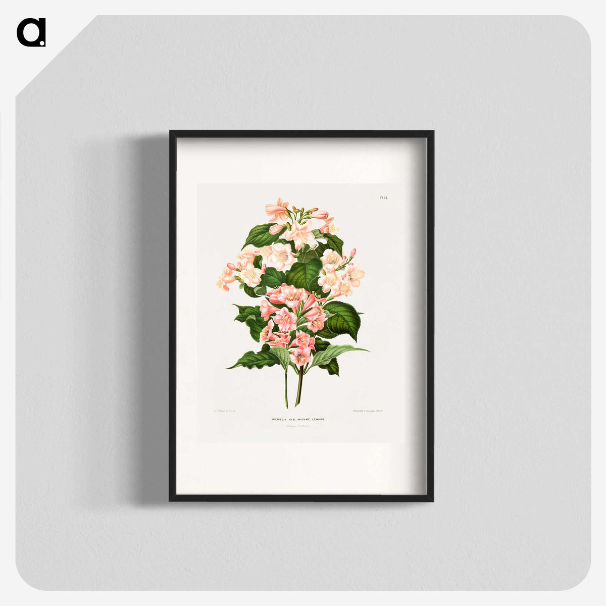 1-22_Nederlandsche-Flora-en-Pomona_blk