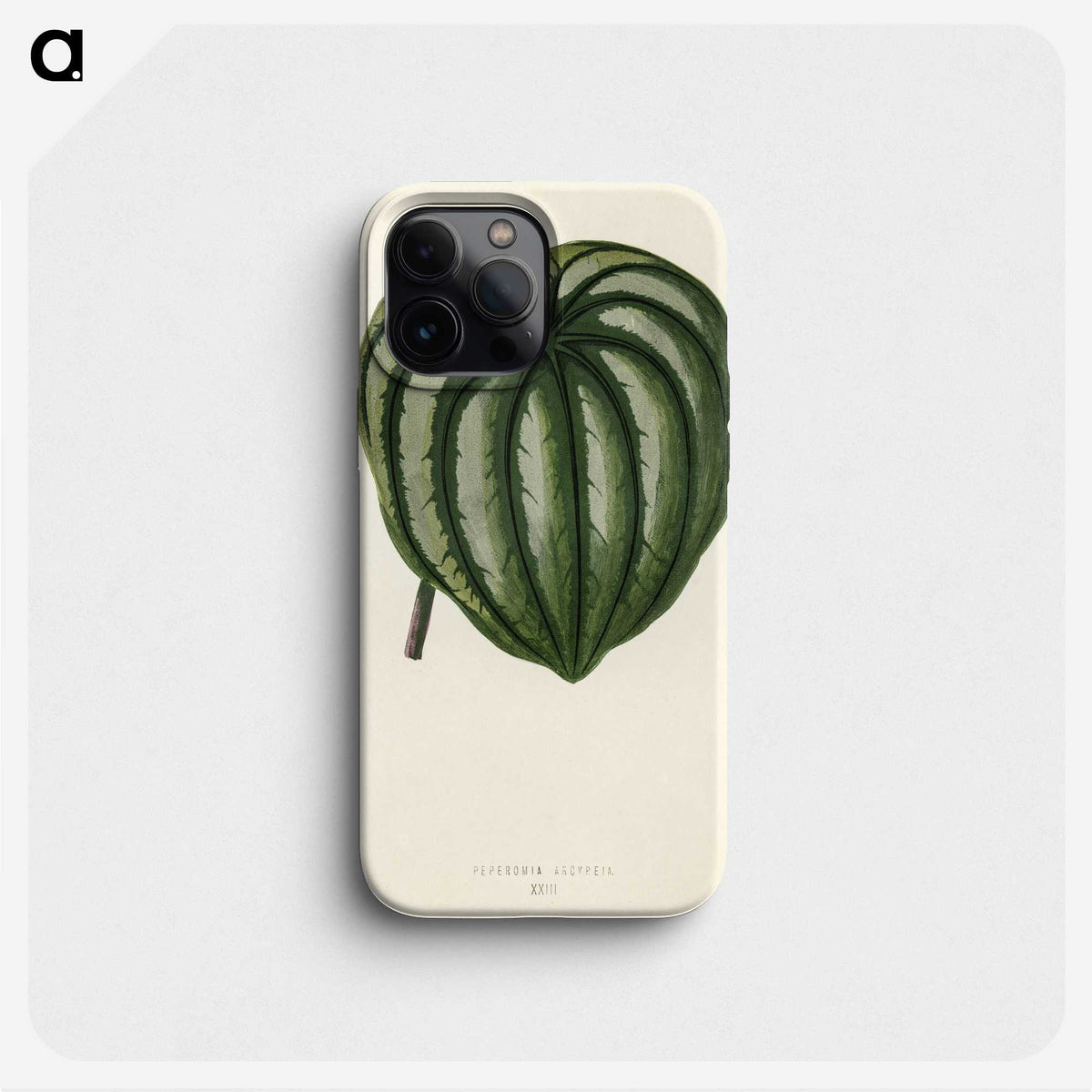 1-22_New-and-Rare-Beautiful-Leaved-Plants_phone