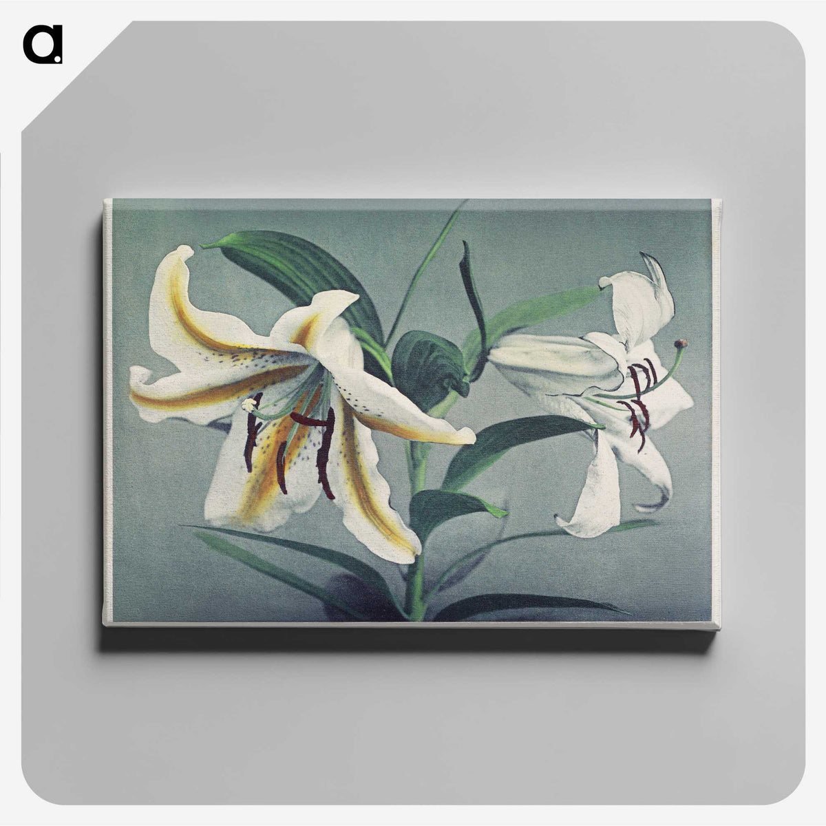 1-22_Ogawa-Kazumasa_canvas