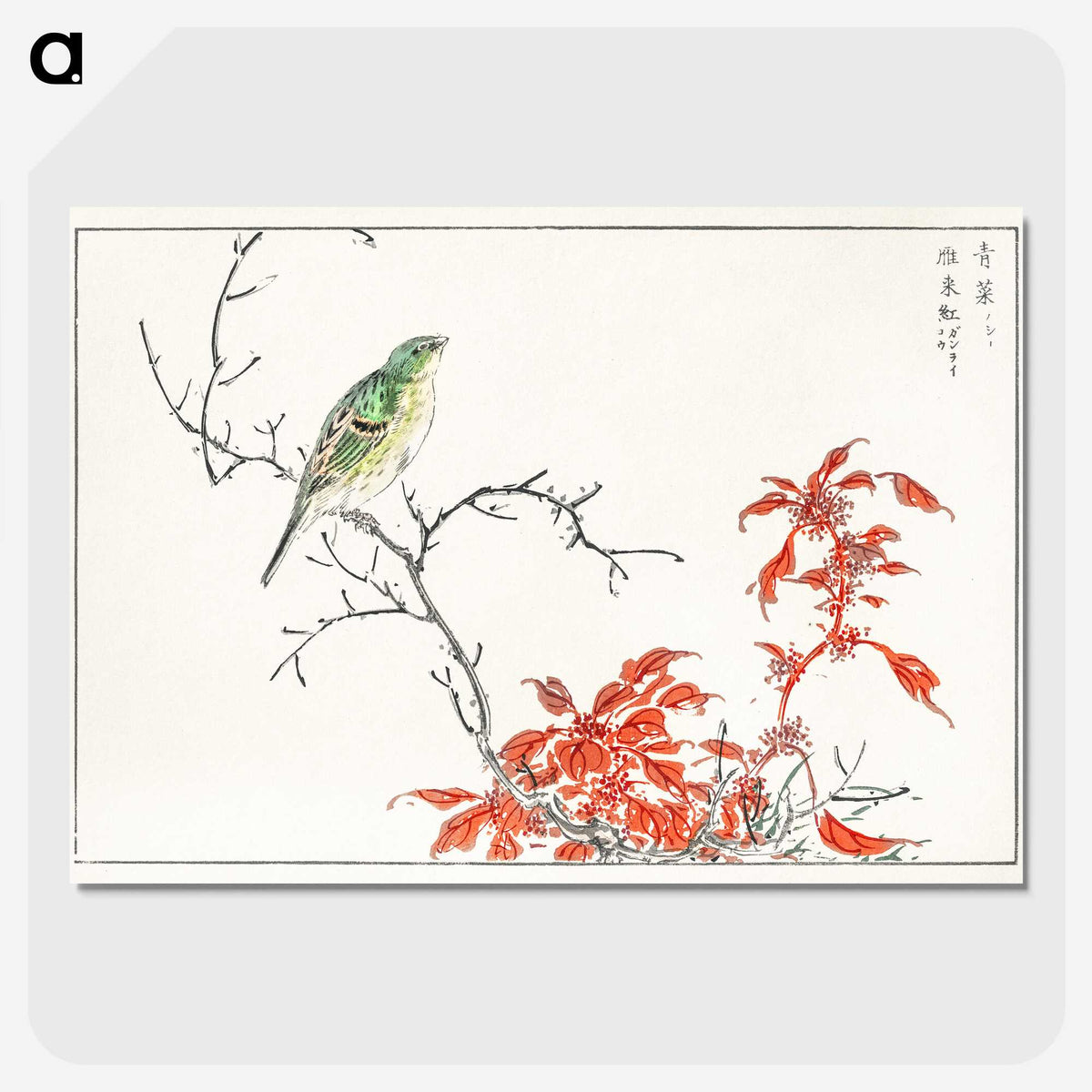 1-22_Pictorial-Monograph-of-Birds_picture-crop