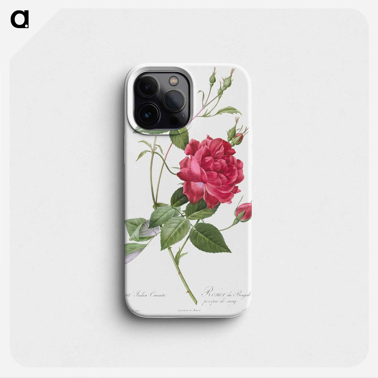 Blood-Red Bengal Rose - Pierre Joseph Redouté Phone Case.