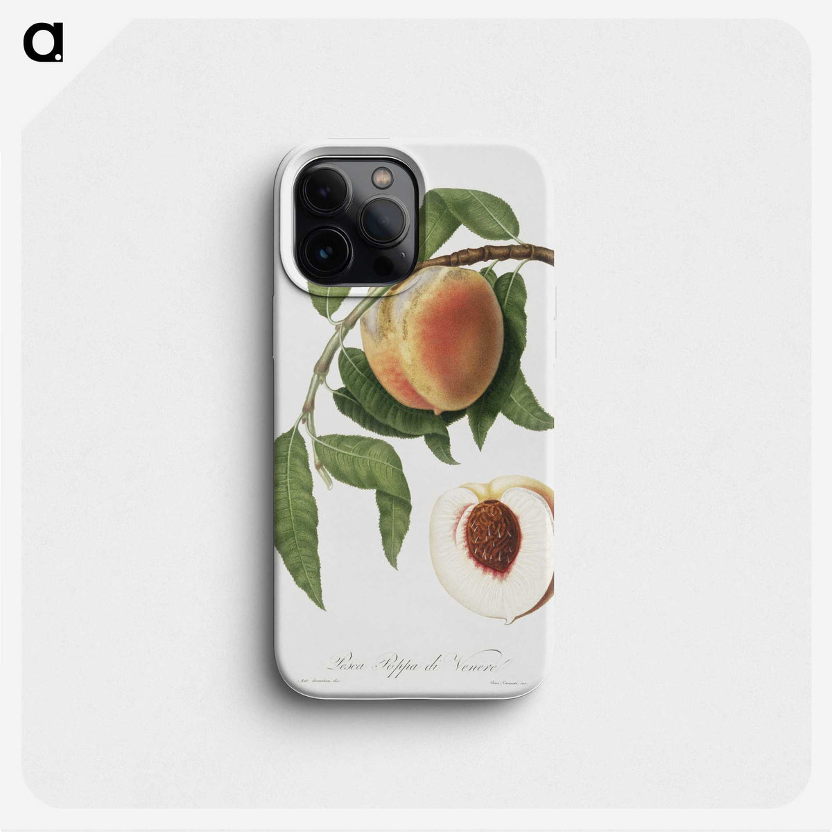 1-22_Pomona-Italiana_phone