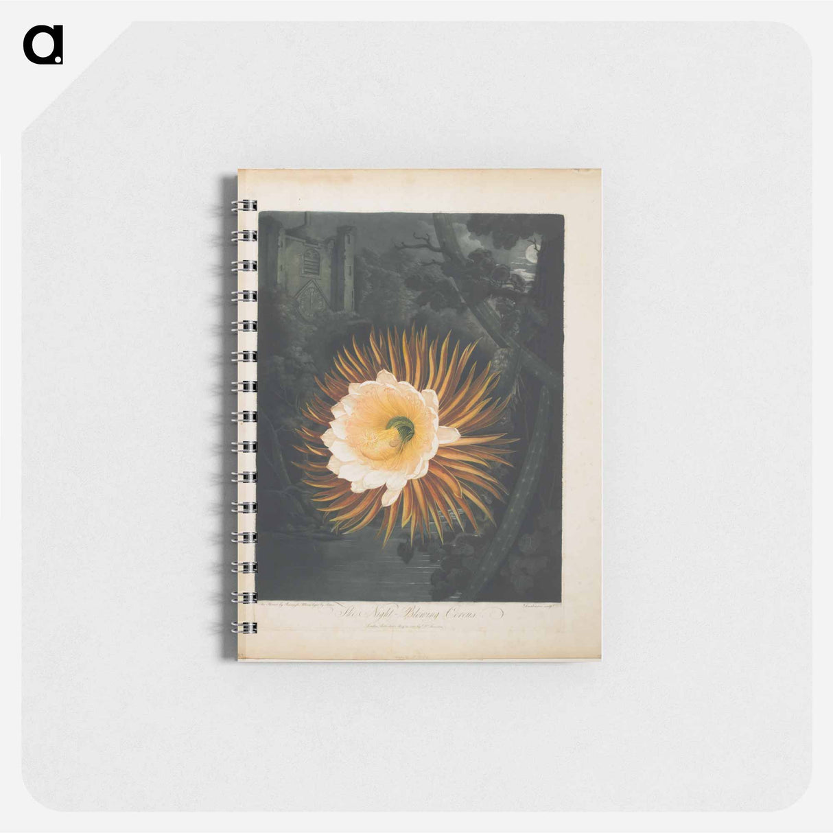 アートメモ帳-The Night-Blowing Cereus
- ロバート ジョン ソーントン Memo.
