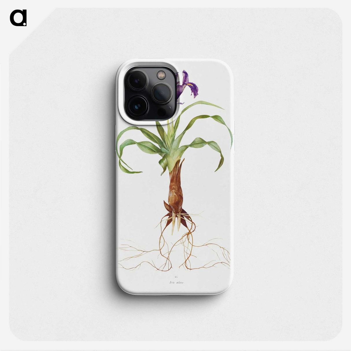1-22_The-Genus-Iris_phone