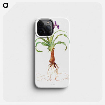 Iris Alata from The genus Iris
 - アヤメ属 Phone Case.