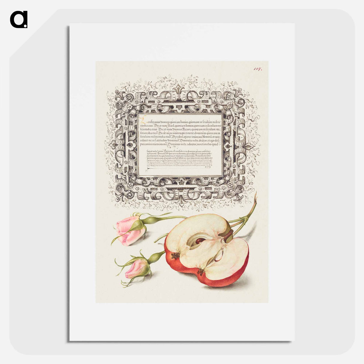アートポスター-French Rose and Apple from Mira Calligraphiae Monumenta
- 書道のお手本 Poster.
