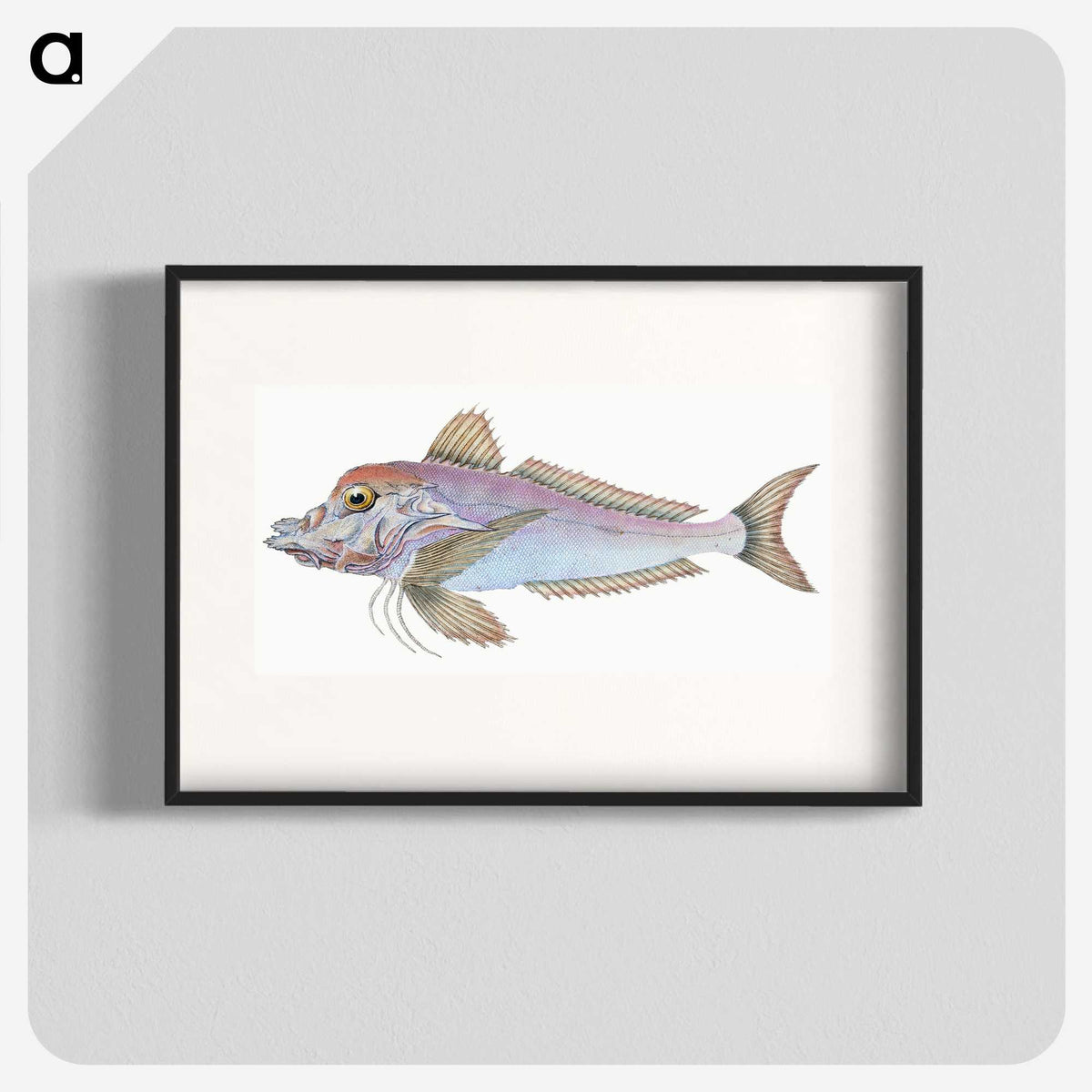 1-22_The-Natural-History-of-British-Fishes_blk