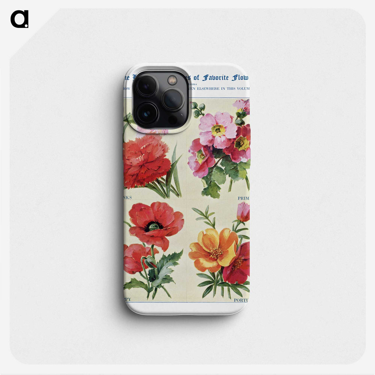 1-22_The-Open-Door-to-Independence_phone