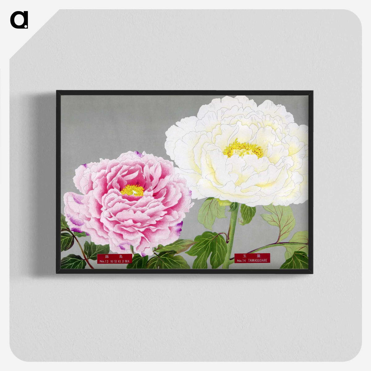 1-22_The-Picture-Book-of-Peonies_blk-crop