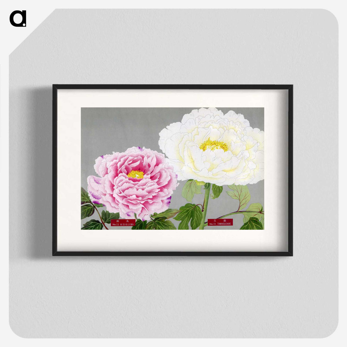 1-22_The-Picture-Book-of-Peonies_blk
