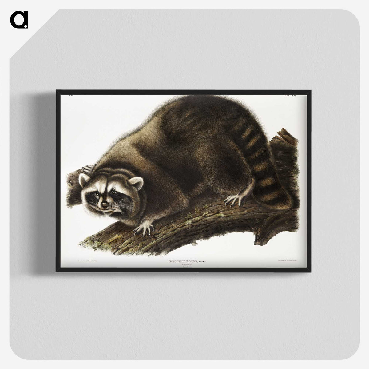 1-22_The-Viviparous-Quadrupeds_blk-crop