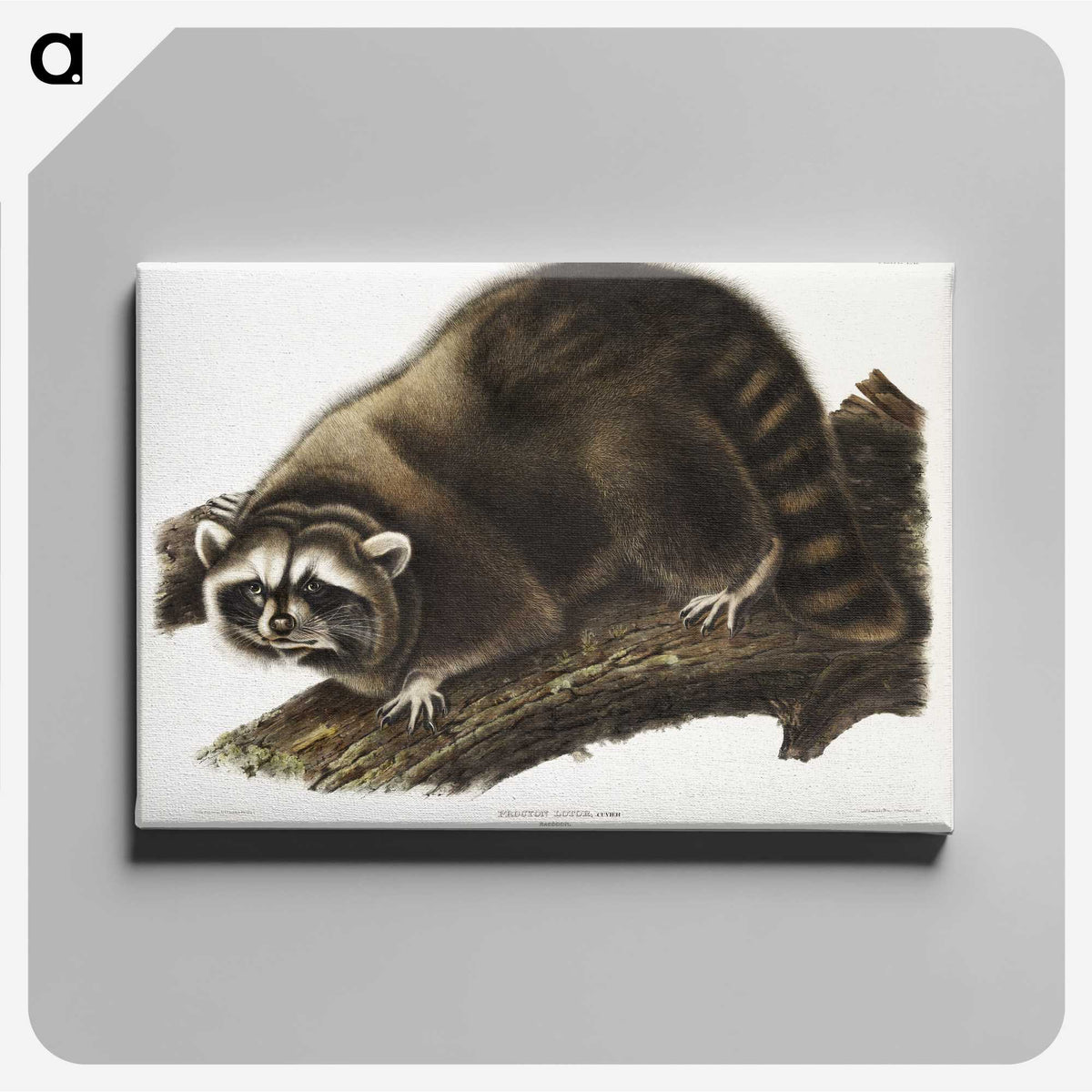1-22_The-Viviparous-Quadrupeds_canvas