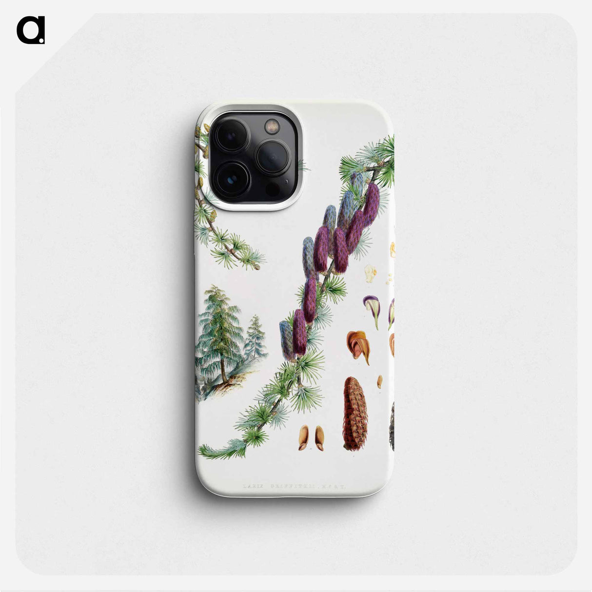 Sikkim larch - Walter Hood Fitch Phone Case.