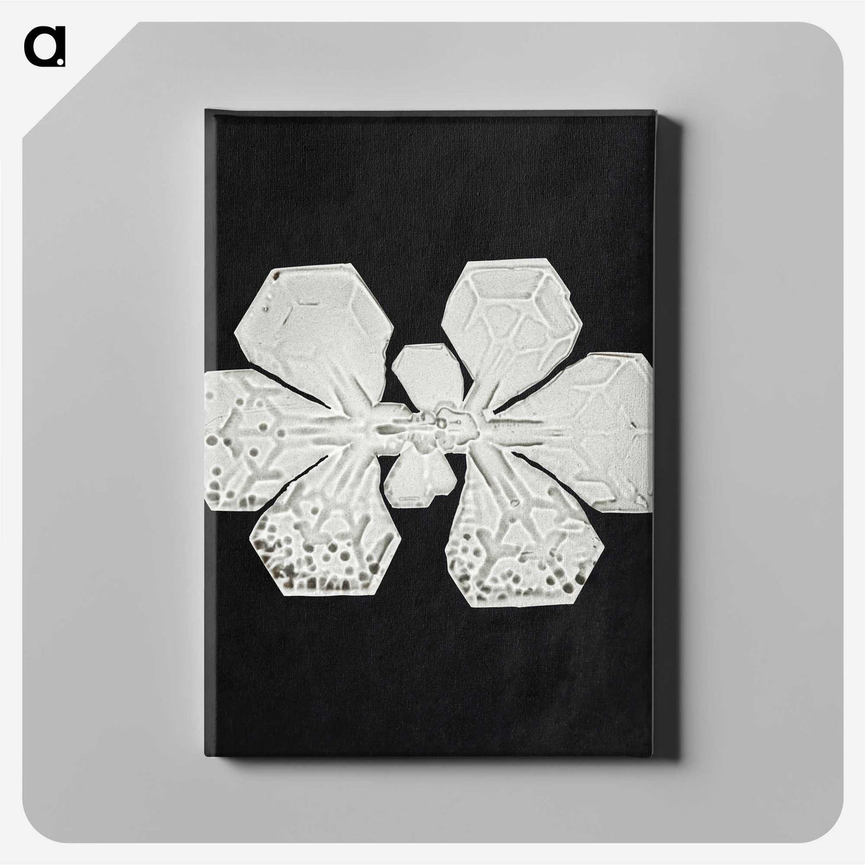 1-22_Wilson-Bentley_canvas