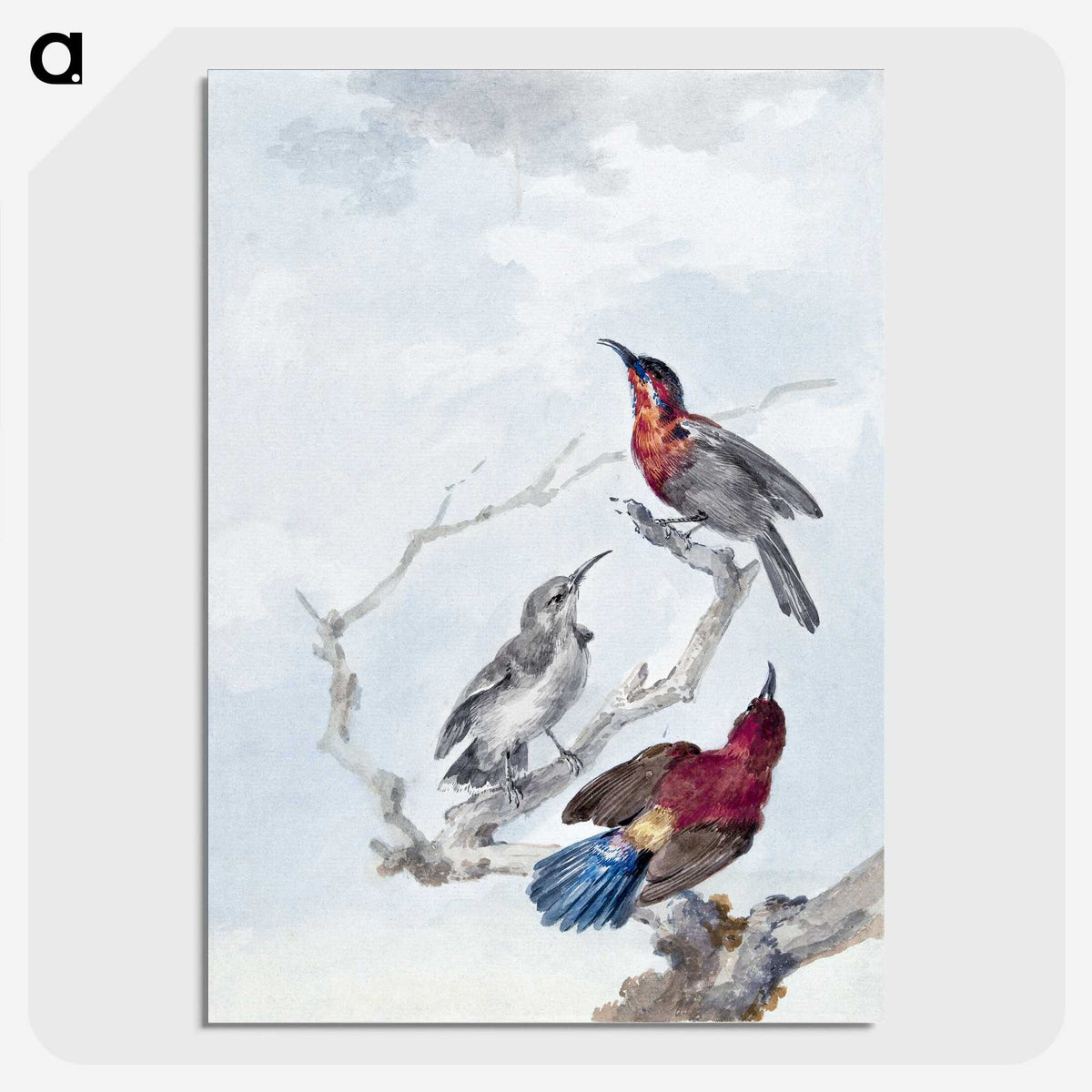 1-23_Aert-Schouman_picture-crop