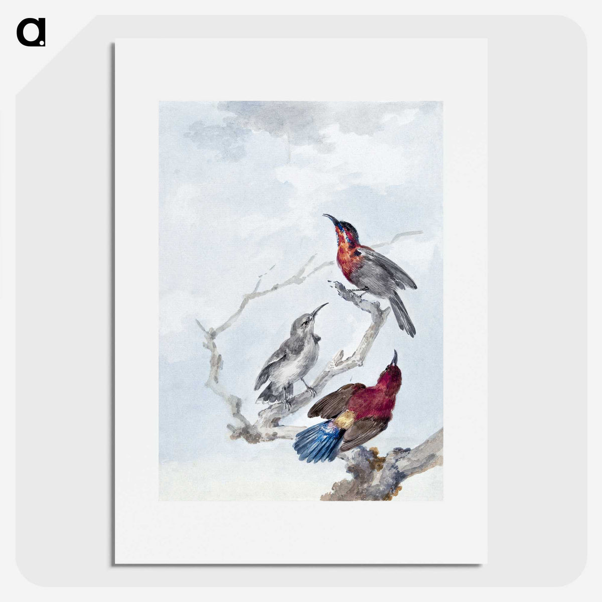 1-23_Aert-Schouman_picture