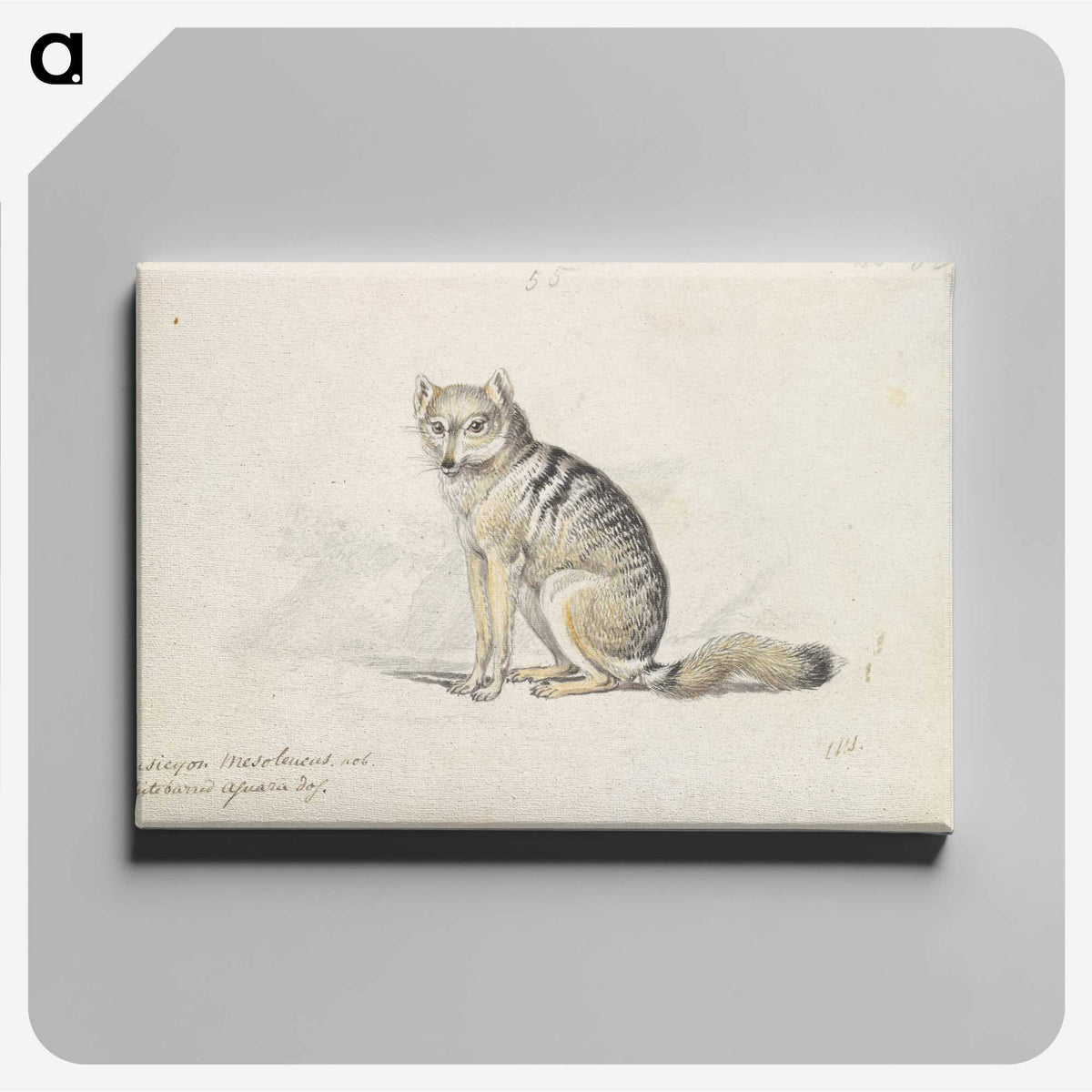 1-23_Charles-Hamilton-Smith_canvas