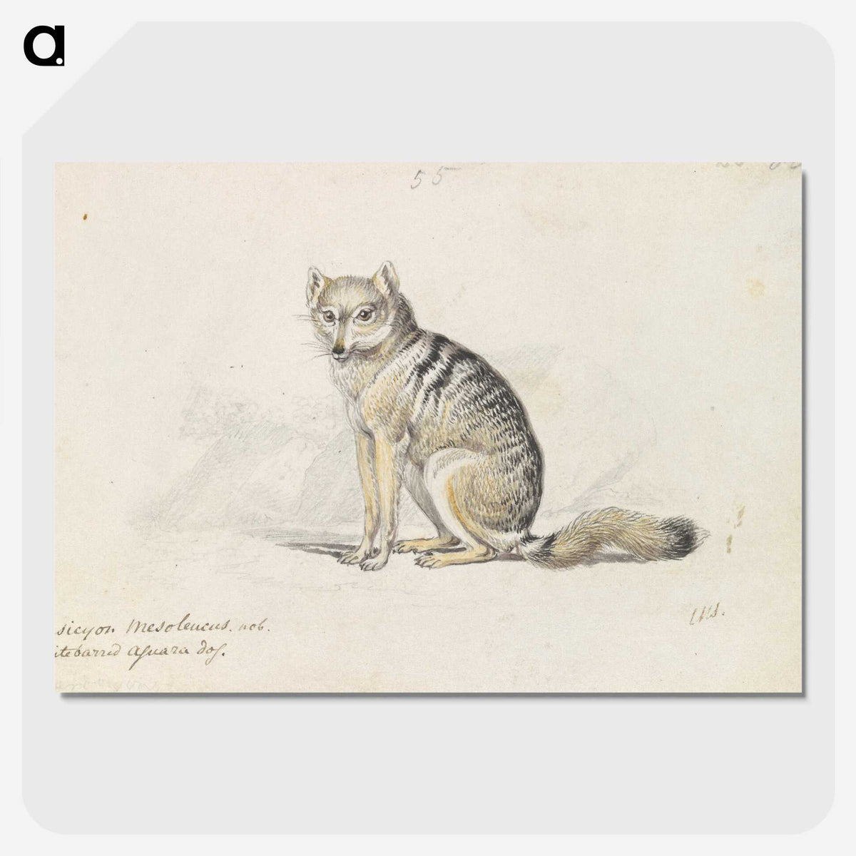 1-23_Charles-Hamilton-Smith_picture-crop
