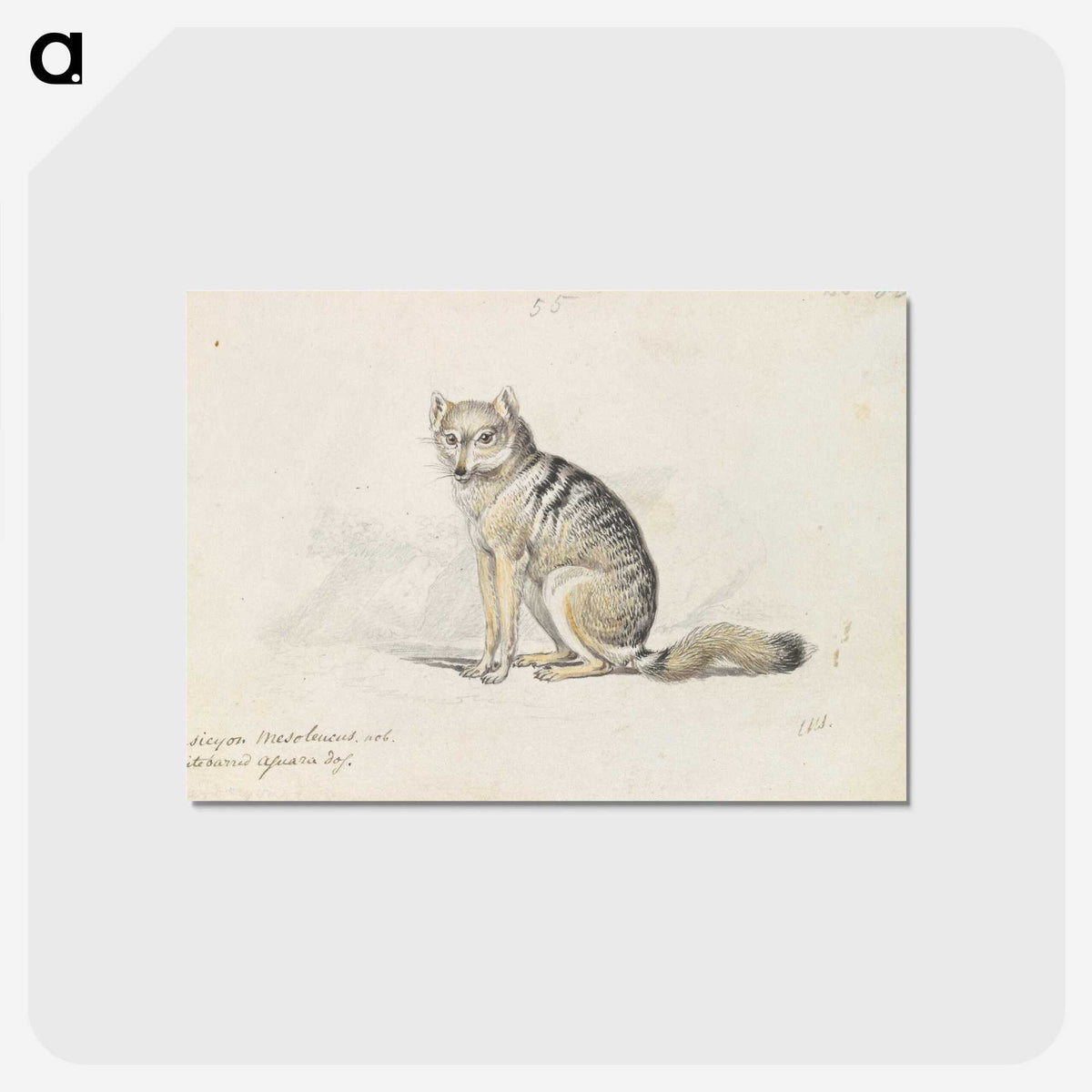 1-23_Charles-Hamilton-Smith_postcard