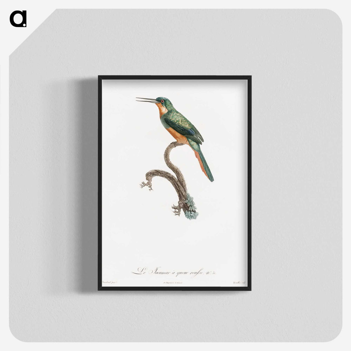1-23_Des-Oiseaux-de-Paradis_blk-crop