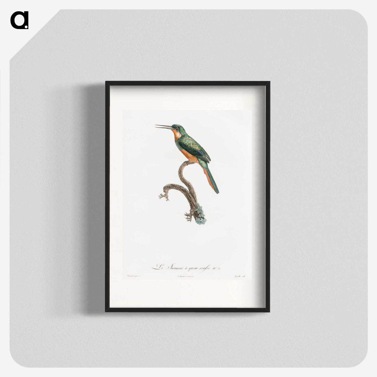 1-23_Des-Oiseaux-de-Paradis_blk